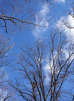 お客様の声 お客様の声